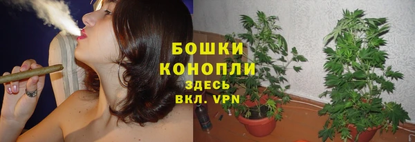 дмт Балабаново