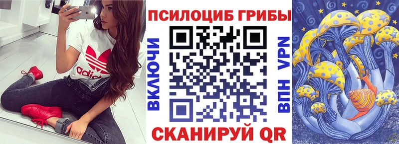 купить наркотики сайты  ОМГ ОМГ вход  Галлюциногенные грибы Cubensis  Калуга 
