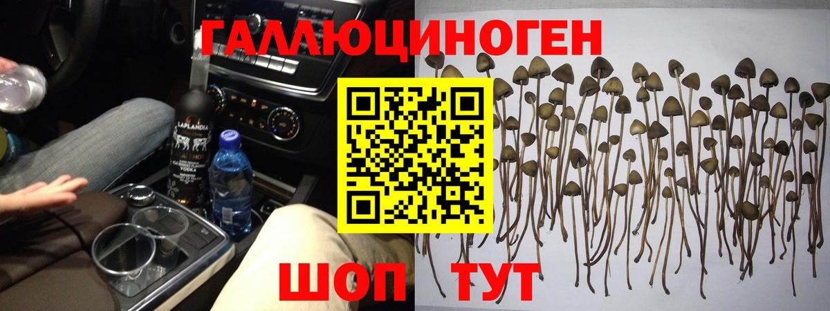 Галлюциногенные грибы Magic Shrooms  Вход с VPN  Псилоцибиновые грибы Psilocybine cubensis  Калуга 